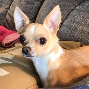 Meet your Posher, Doreen